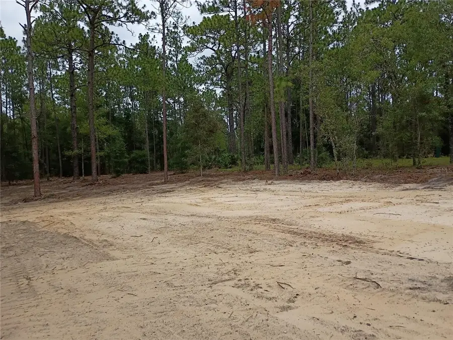 16327 SW 24th Place, Ocala, FL 34481 - #2