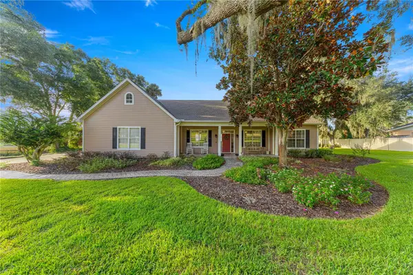 9820 SE 110th Street Road, BELLEVIEW, FL 34420
