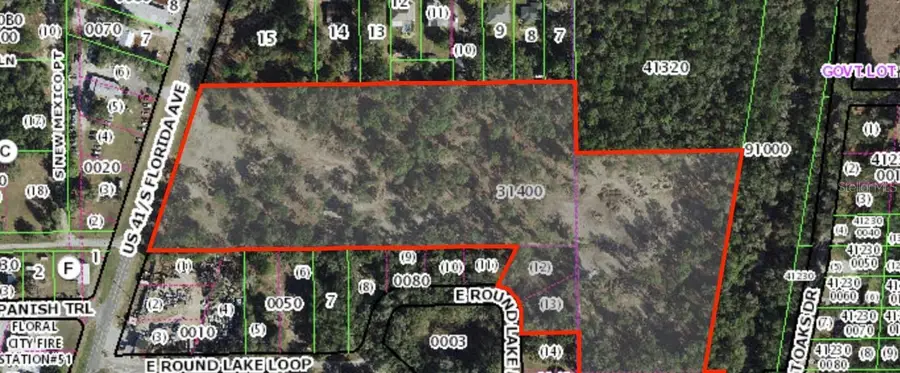8965 S Florida Avenue, Floral City, FL 34436 - #2