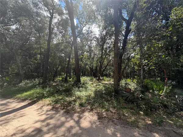 0 NE 37th Street, SILVER SPRINGS, FL 34488