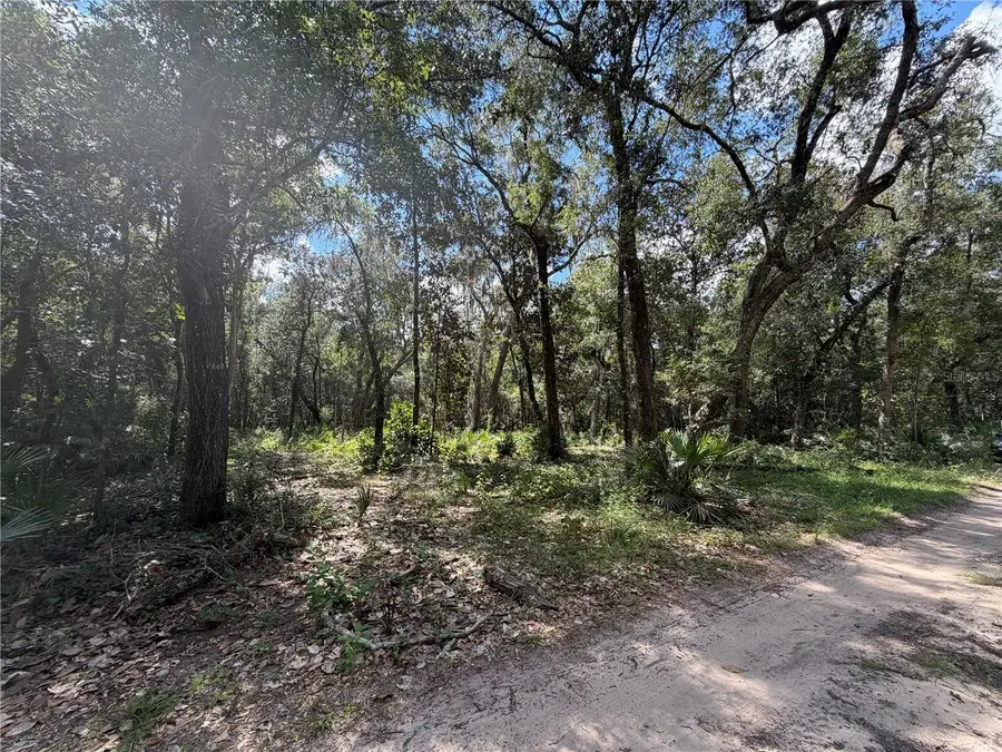 0 NE 37th Street, Silver Springs, FL 34488 - #3