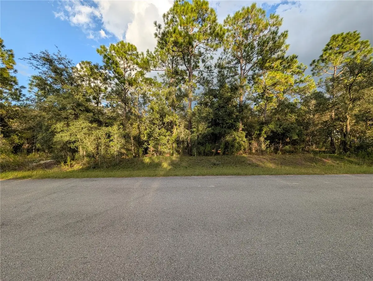 NW Buena Vista Road, Dunnellon, FL 34431 - #1