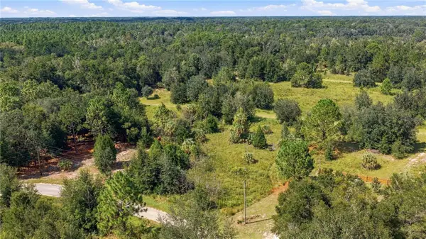8751 N Catapane Loop, CRYSTAL RIVER, FL 34428