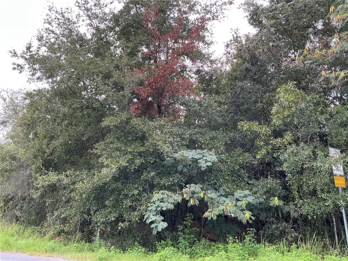 LOT 1 Pine Radial Run, Ocala, FL 34472 - #1
