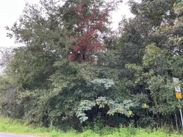 LOT 1 Pine Radial Run, OCALA, FL 34472