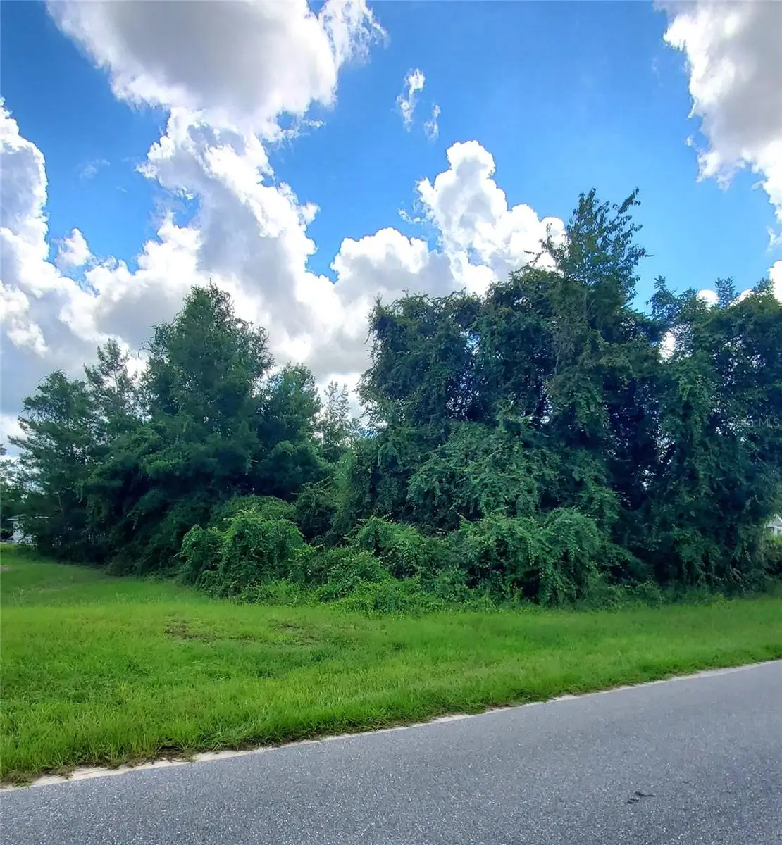 42nd Ave Road, Ocala, FL 34473 - #1