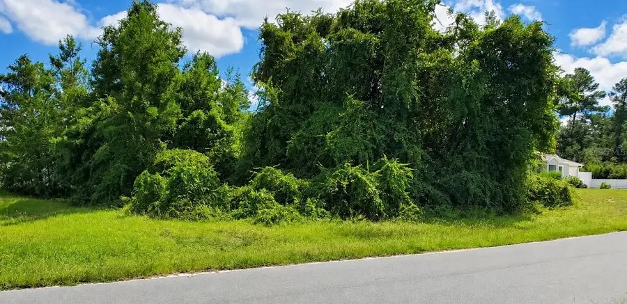 42nd Ave Road, Ocala, FL 34473 - #2