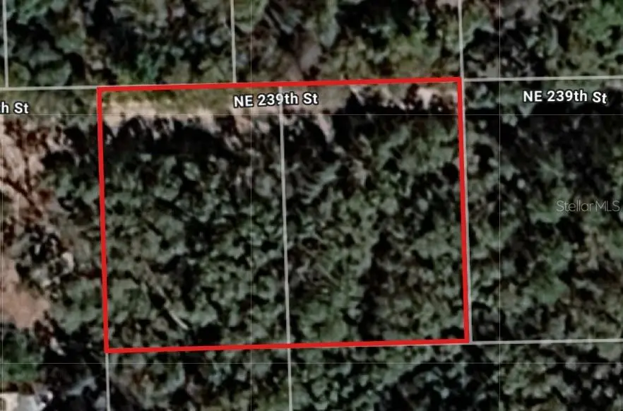 Lot 18 & 19 NE 239th Street, Fort McCoy, FL 32134 - #1