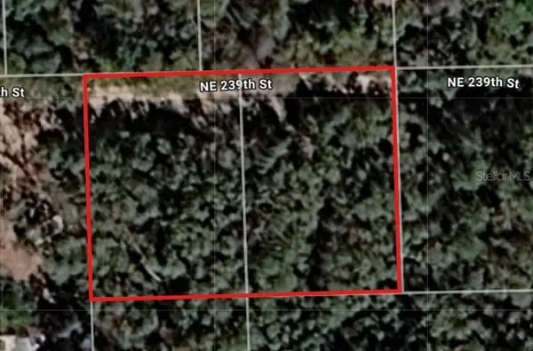 Lot 18 & 19 NE 239th Street, FORT MC COY, FL 32134