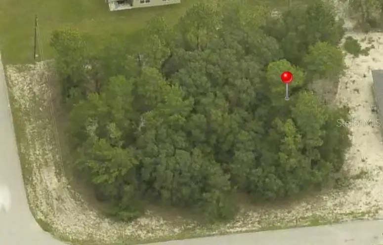 00 Sw 139th Place Road, Ocala, FL 34473 - #1