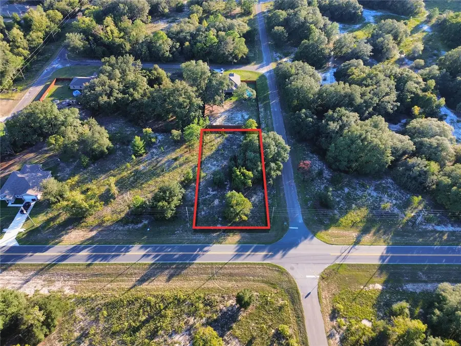 TBD SE 113th Street Road, Ocklawaha, FL 32179 - #2