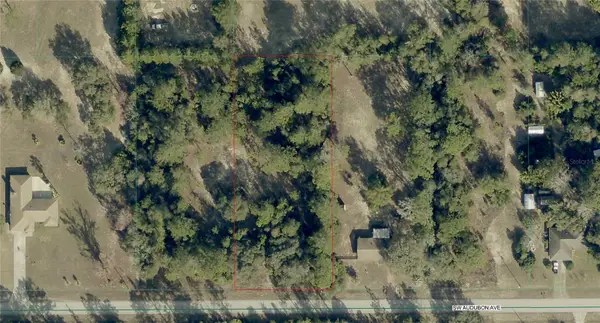 TBD SW Audubon Avenue, DUNNELLON, FL 34431