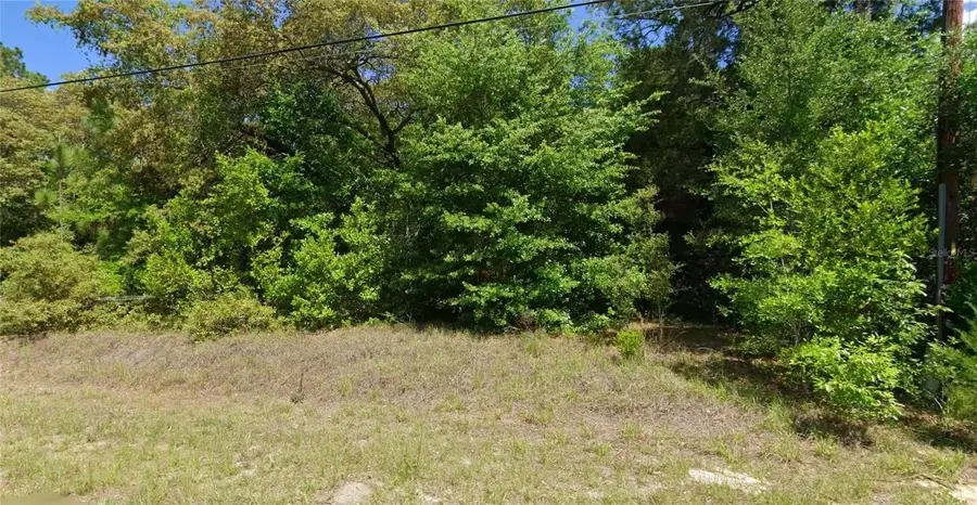 TBD SW Audubon Avenue, Dunnellon, FL 34431 - #3