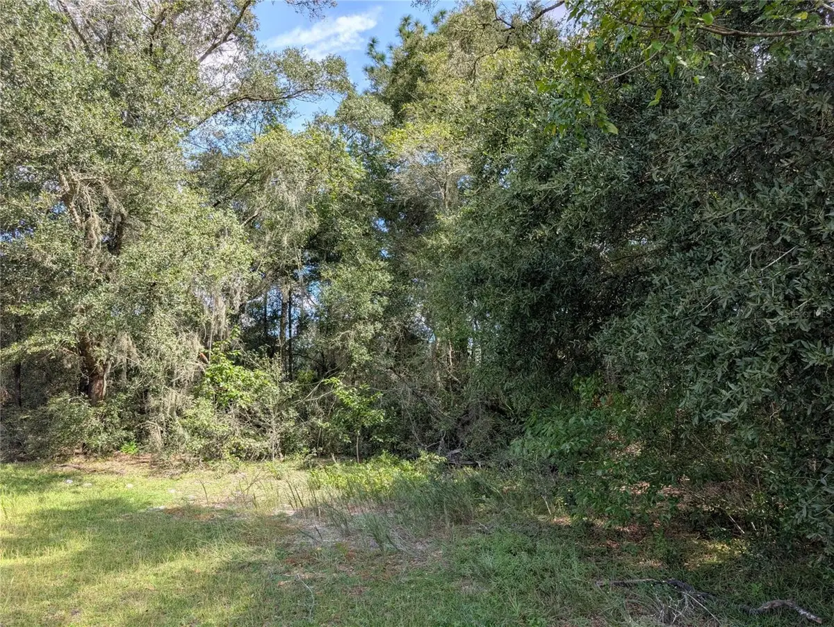 TBD SW 121st Avenue, Dunnellon, FL 34432 - #1