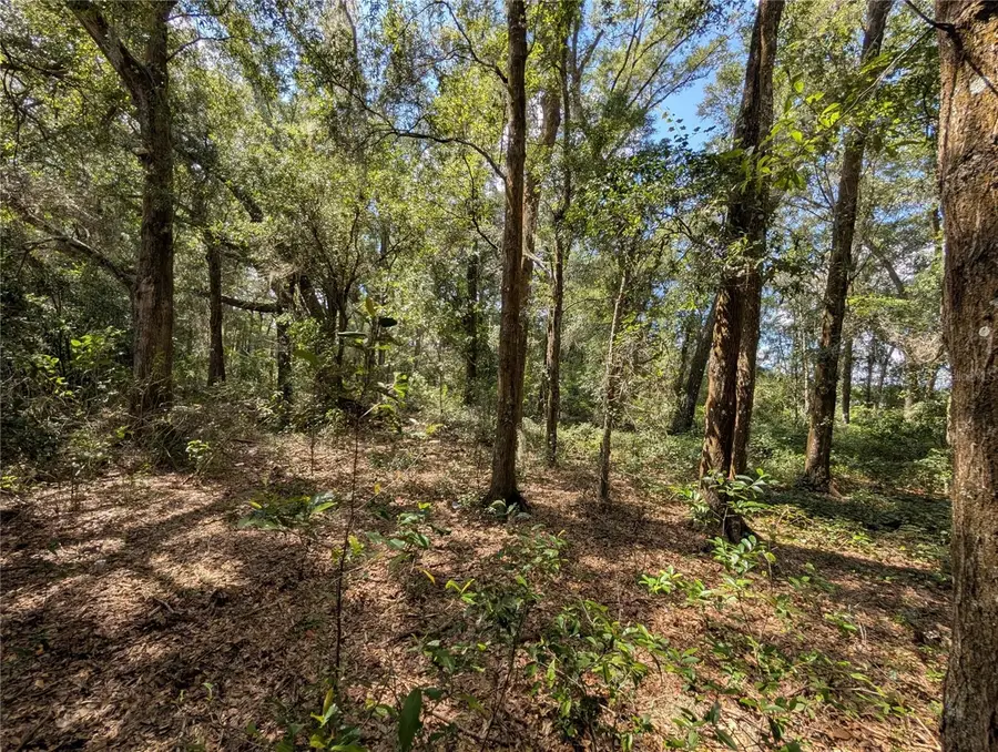 TBD SW 121st Avenue, Dunnellon, FL 34432 - #2