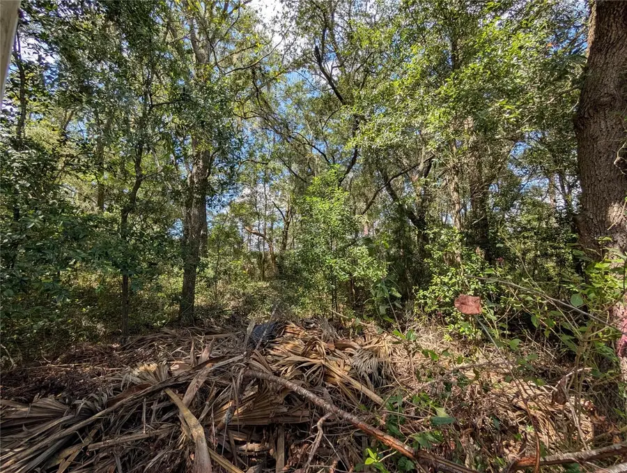 TBD SW 121st Avenue, Dunnellon, FL 34432 - #3