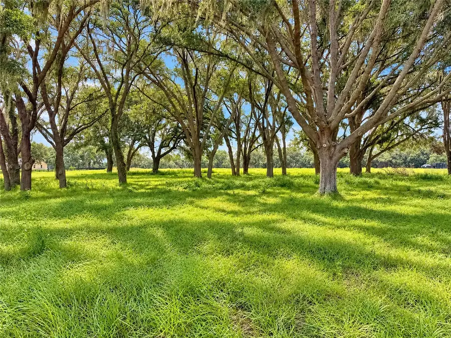 TBD SW 104 Street Road, Ocala, FL 34476 - #2
