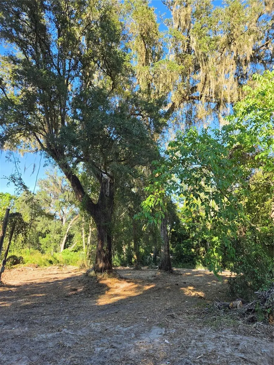 291 SE 81st Street, Ocala, FL 34480 - #3