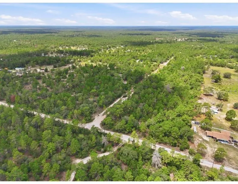 0 W Canagan Court, Dunnellon, FL 34433 - #3