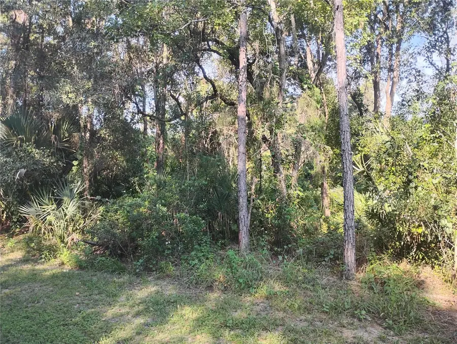 Jessie Avenue, Deland, FL 32720 - #3