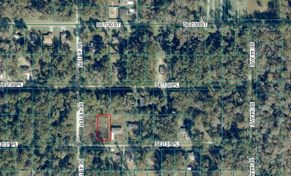 4203 SE 131st Place, Belleview, FL 34420 - #1