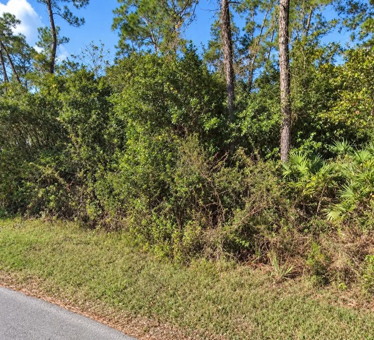 Coon Road, Astor, FL 32102 - #1