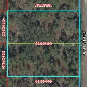 SE 131 Terrace, DUNNELLON, FL 34431