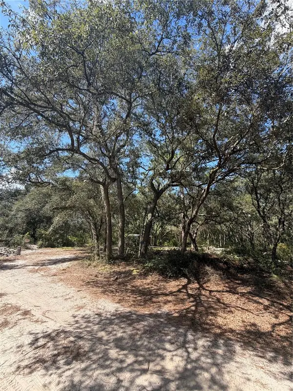 TBD NE 192nd Place, FORT MC COY, FL 32134