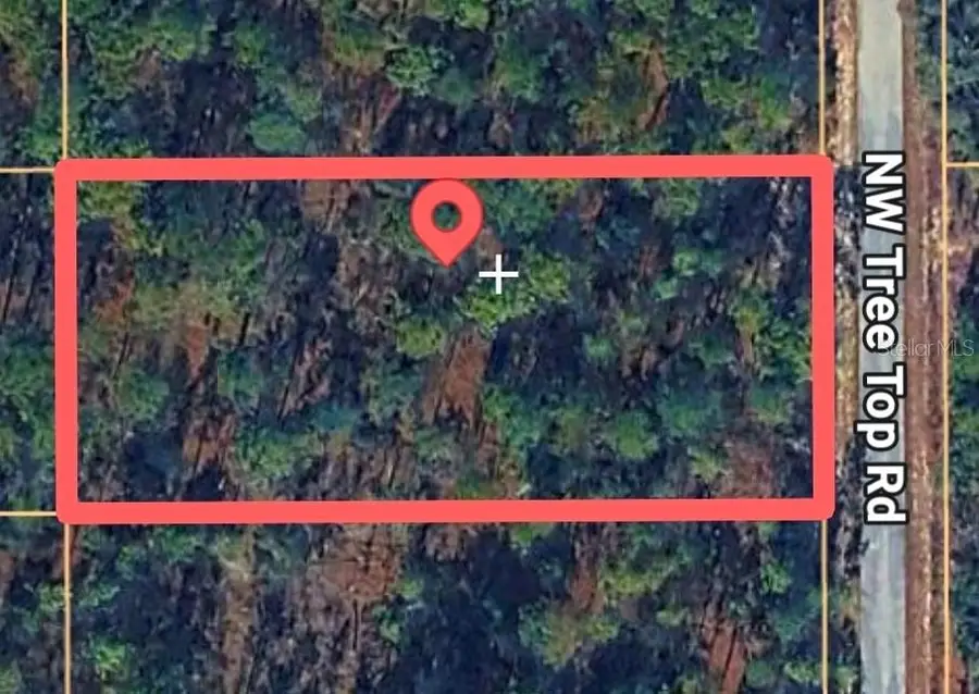 Tree Top Road, Dunnellon, FL 34432 - #3