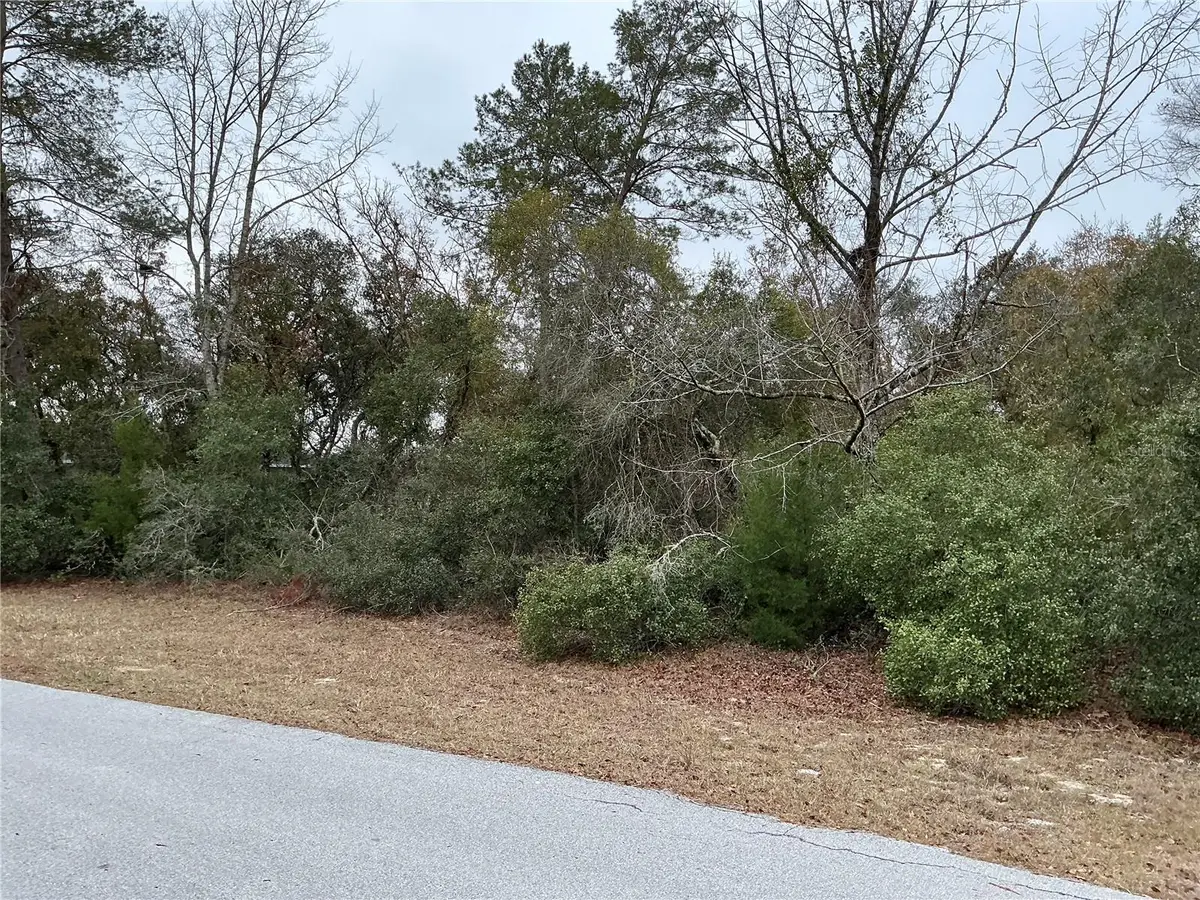 SW 137th Loop, Ocala, FL 34473 - #1