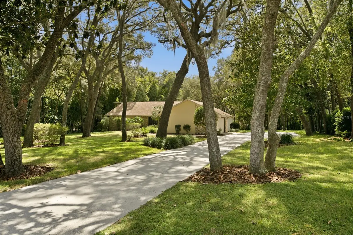 390 W Britain Street, Hernando, FL 34442 - #1