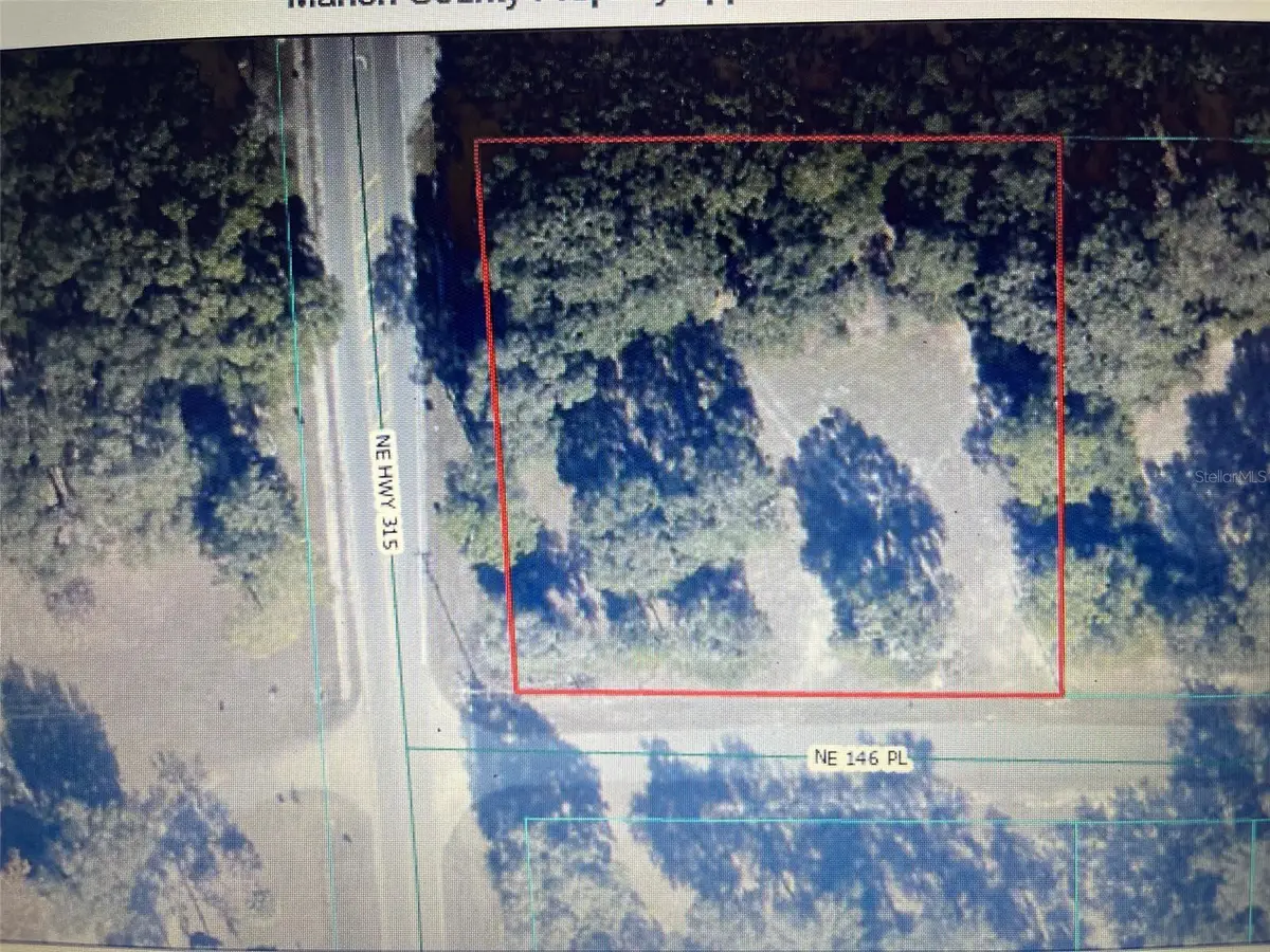00 Highway 315, Fort McCoy Anthony, FL 32134 - #1