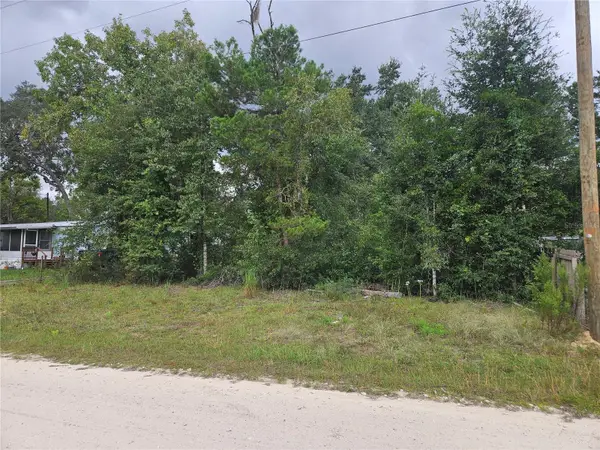 0000 NE 141st Avenue, WILLISTON, FL 32696