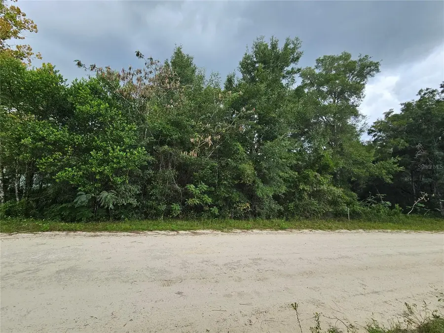 0000 NE 141st Avenue, Williston, FL 32696 - #3