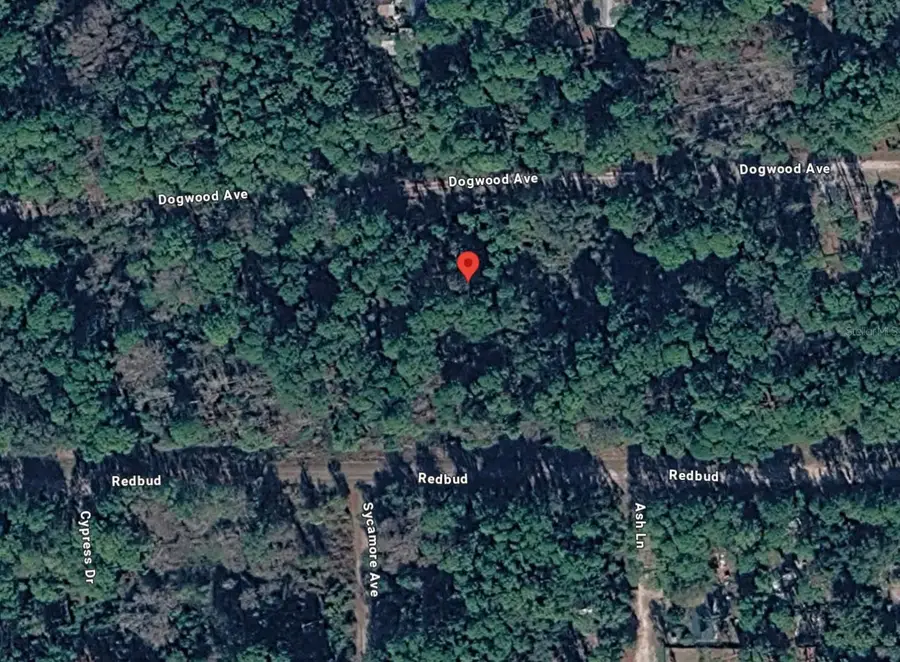 217 Dogwood Avenue, Georgetown, FL 32139 - #2