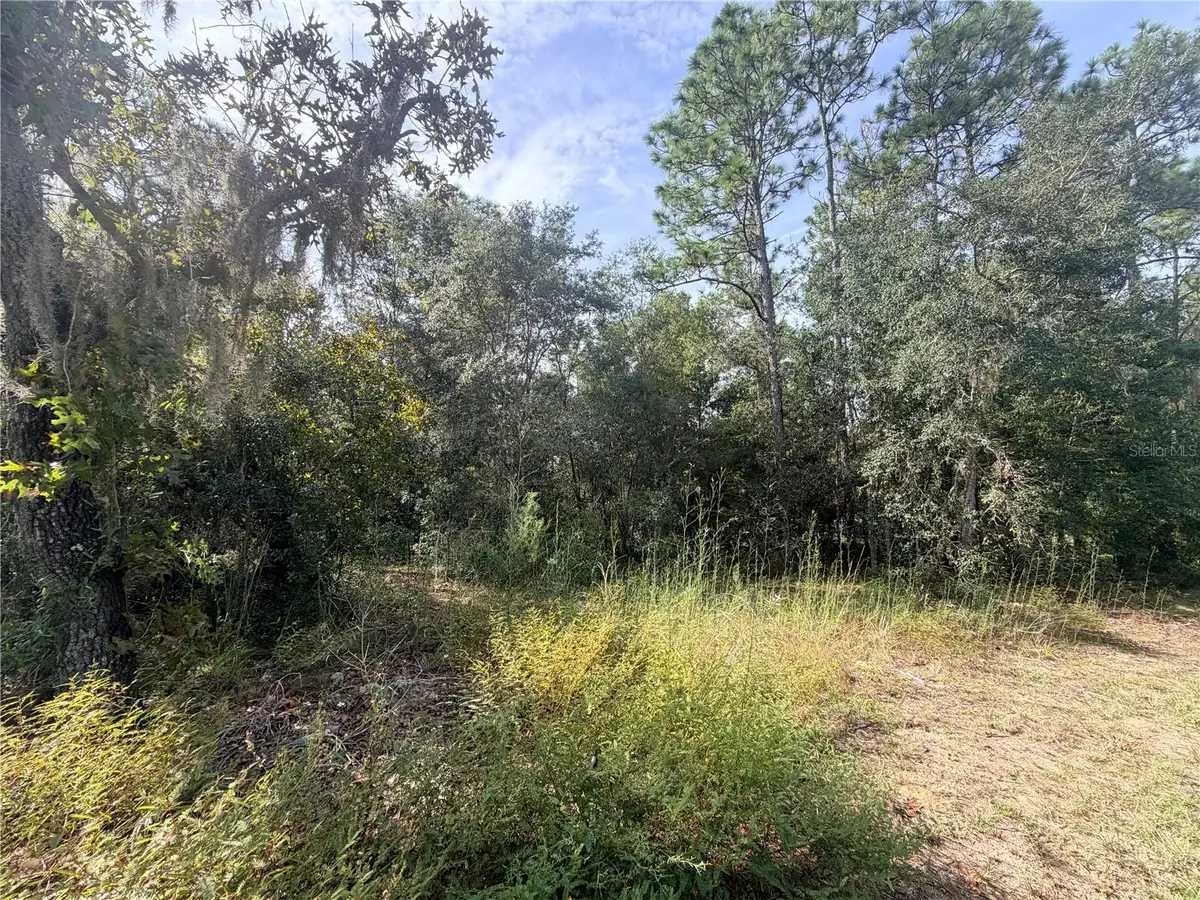 5066 E Anna Jo Drive, Inverness, FL 34452 - #1