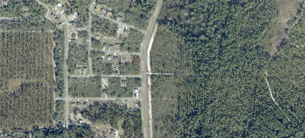 0 Fisher Loop Course, OCKLAWAHA, FL 32179
