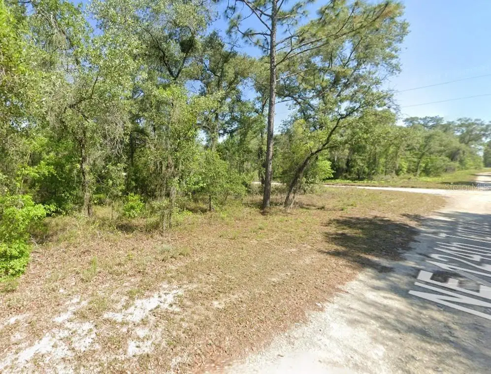 Lot 6 NE 124 Street, Williston, FL 32696 - #1