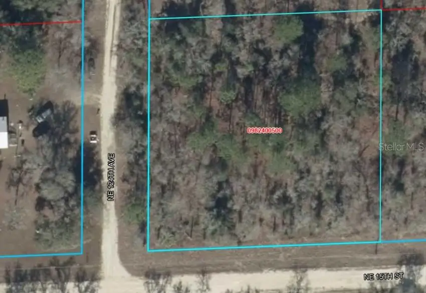 Lot 6 NE 124 Street, Williston, FL 32696 - #2
