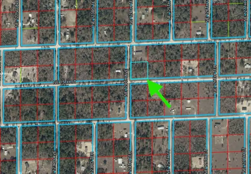 Lot 6 NE 124 Street, Williston, FL 32696 - #3