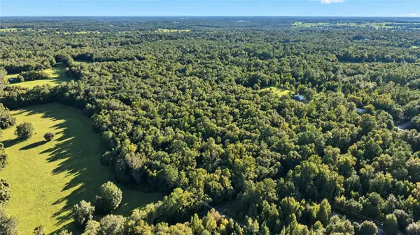 TBD NW 200th Street, MICANOPY, FL 32667