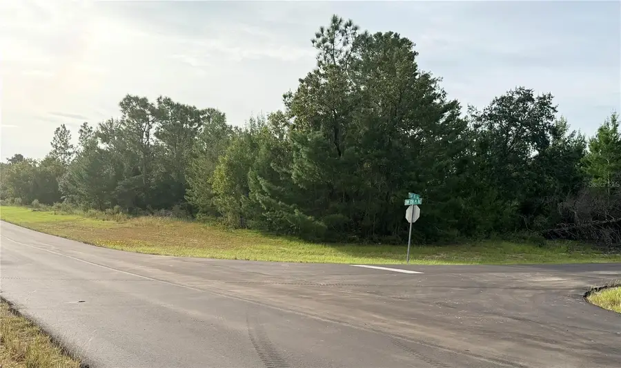 0 SW 139th Place Road, Ocala, FL 34473 - #2