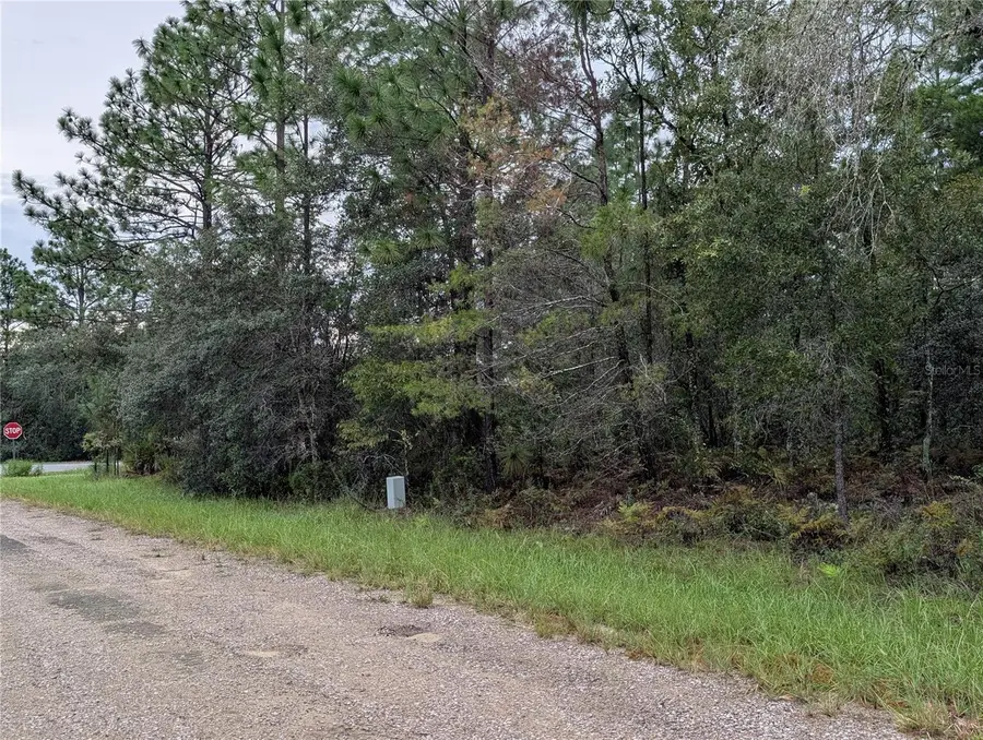 6443 N Dorian Terrace, Dunnellon, FL 34433 - #3