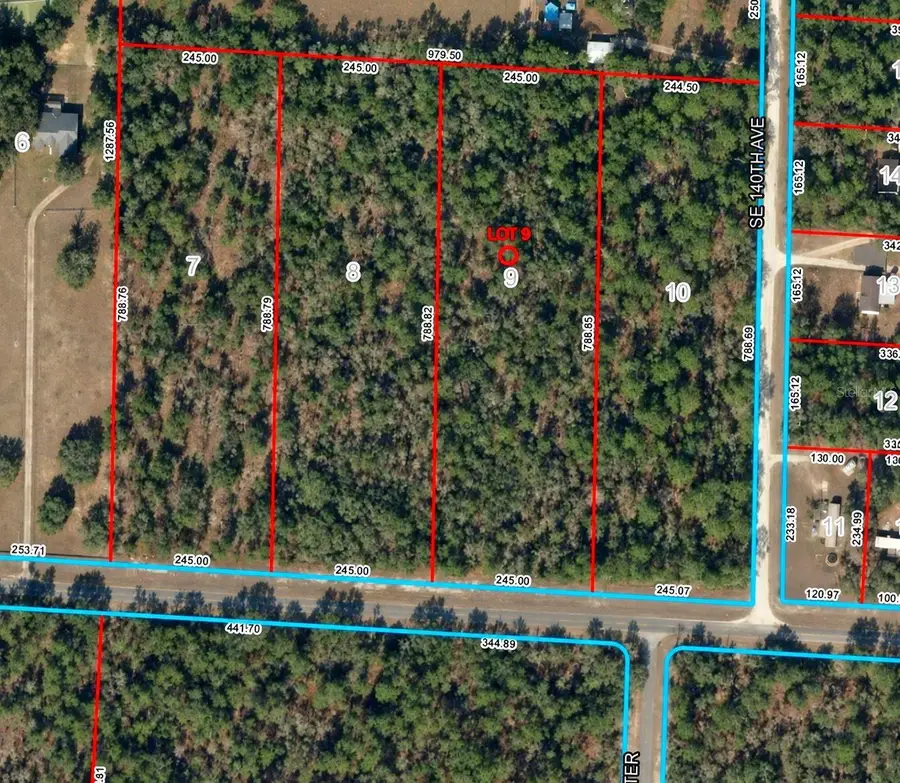 SE 30th Street, Morriston, FL 32668 - #2