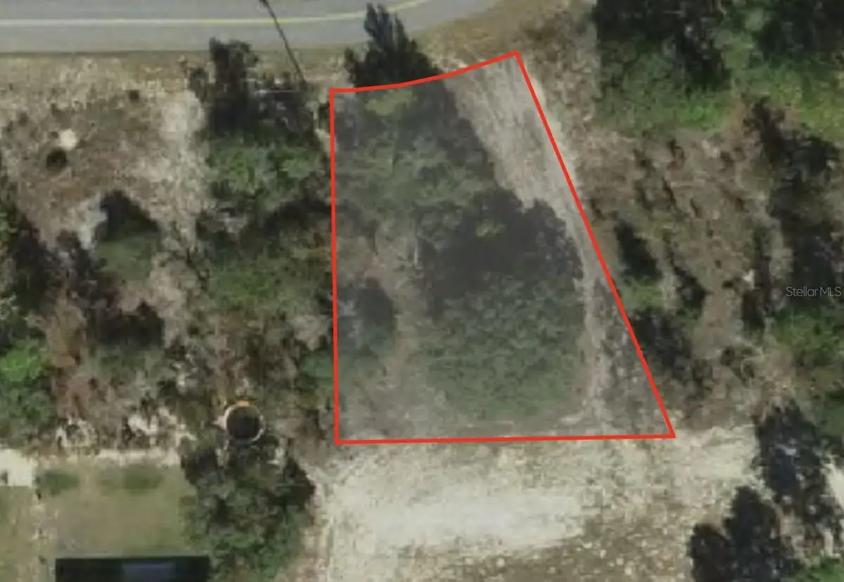 10359 N G Martinelli Boulevard, Citrus Springs, FL 34433 - #1
