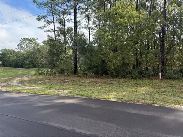 TBD SW 139th Lane Road #12, OCALA, FL 34473