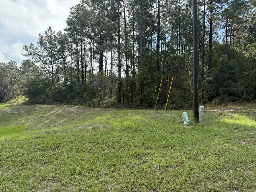 TBD SW 139th Lane Road #12, Ocala, FL 34473 - #3