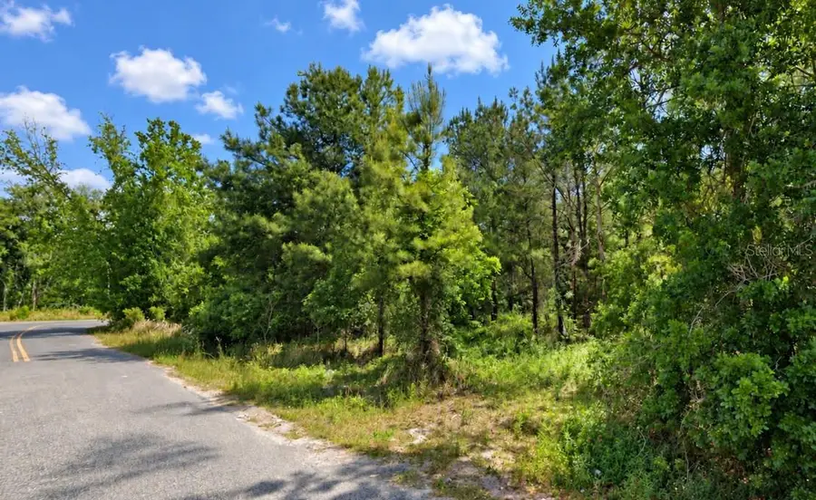 207 Oak Lane Run, Ocala, FL 34472 - #2