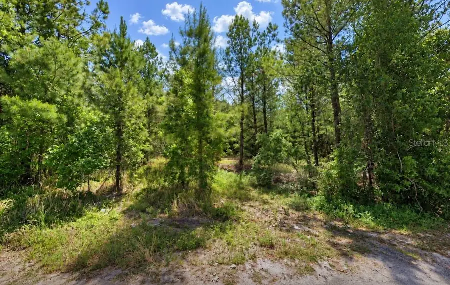 207 Oak Lane Run, Ocala, FL 34472 - #3