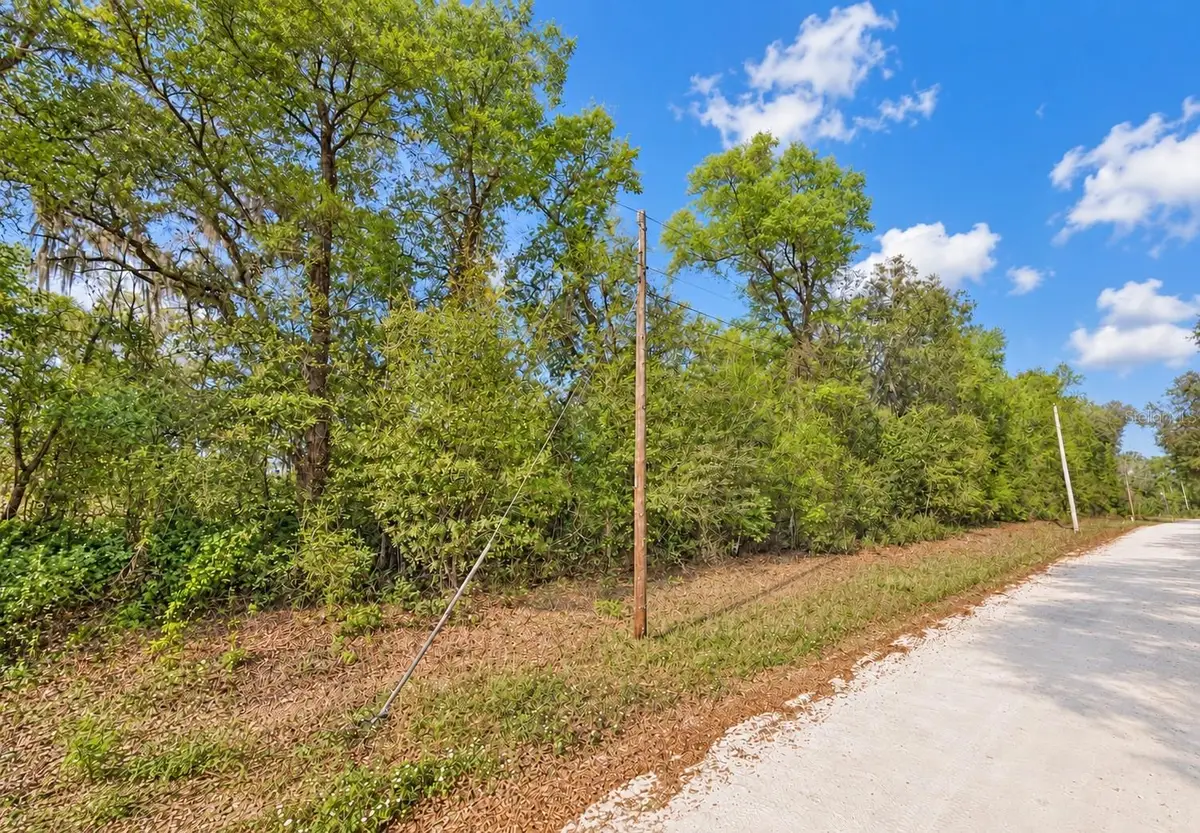 147 Fishermans Drive, Interlachen, FL 32148 - #1